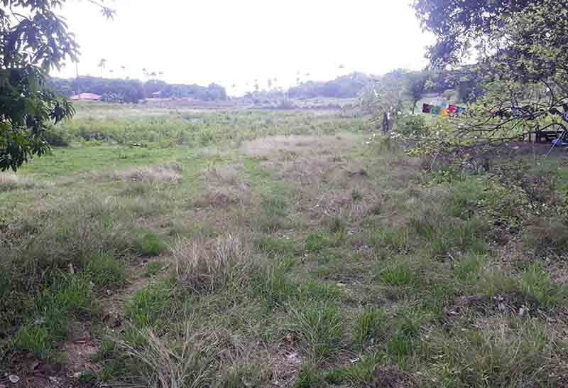 5,000 sqm Commercial Lot for Sale in Calatagan Batangas